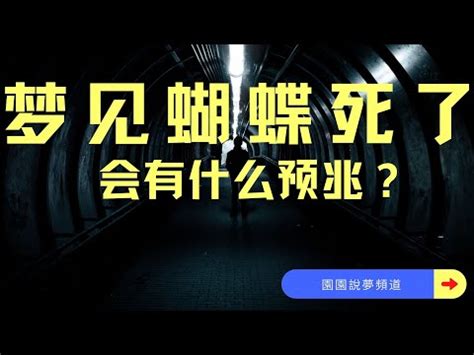 夢到蝴蝶停在臉上|夢見蝴蝶，夢到蝴蝶是什麽意思？